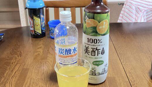 もしかして ロングスリーパーを受け入れる 低血圧 フリマーベラス もしかして ロングスリーパーを受け入れる 低血圧 フリマーベラス